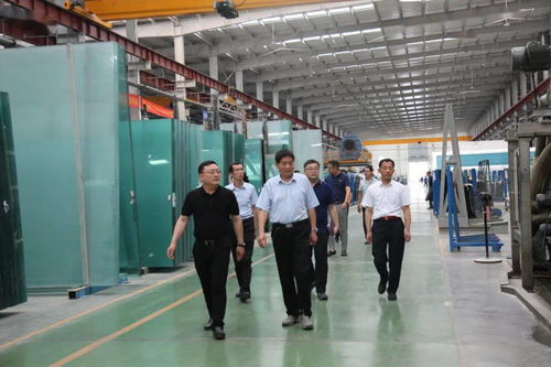 创新引领 促进民营企业高质量发展——省直专家服务组走进山东耀华玻璃公司开展诊断咨询服务活动