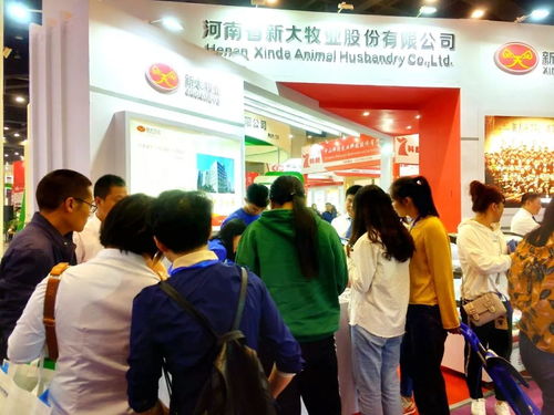 新大智道亮相中原畜牧业交易博览会，信息咨询服务引领养猪行业新变革